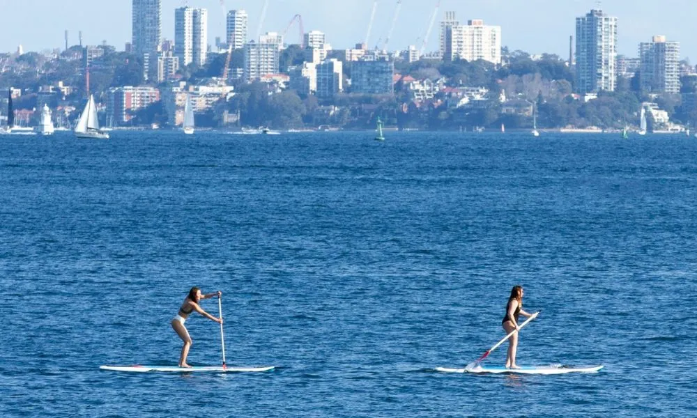 Sydney Private Stand Up Paddle Boarding Lesson And Hire - Manly-2
