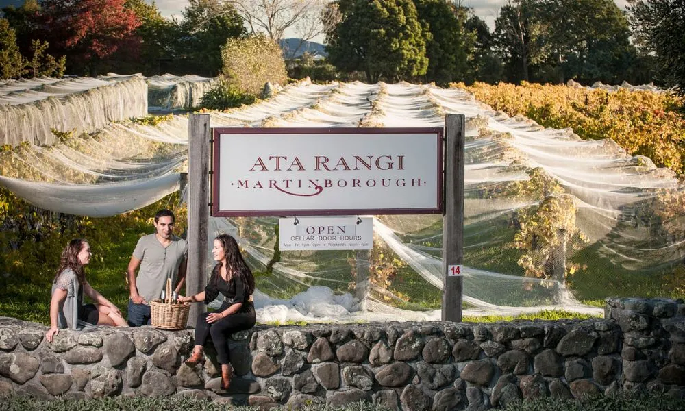 Martinborough Winery Half Day Tour - Book Now | Experience Oz-1