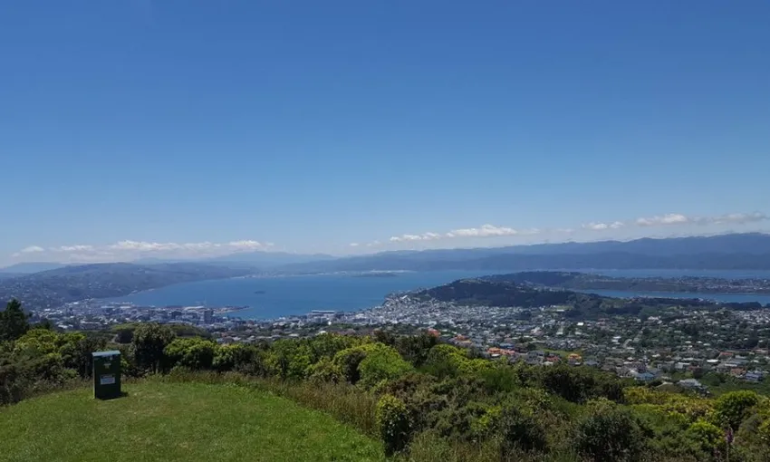 Wellington Coastal Highlights Tour with Lunch | Experience Oz