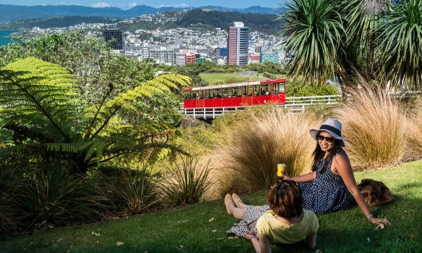 Wellington Coastal Highlights Tour with Lunch | Experience Oz