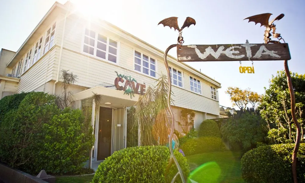 Wellington Coastal Highlights Tour with Lunch | Experience Oz-4