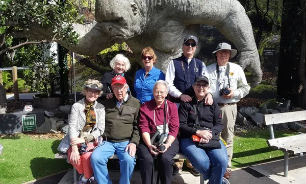 Wellington Coastal Highlights Tour with Lunch