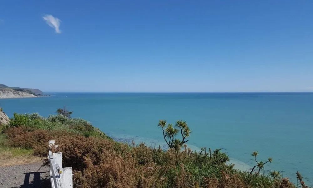 Wine and Wild Coast Tour - Book Now | Experience Oz -2