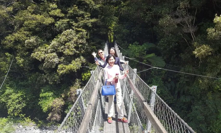Wine and Wild Coast Tour - Book Now | Experience Oz