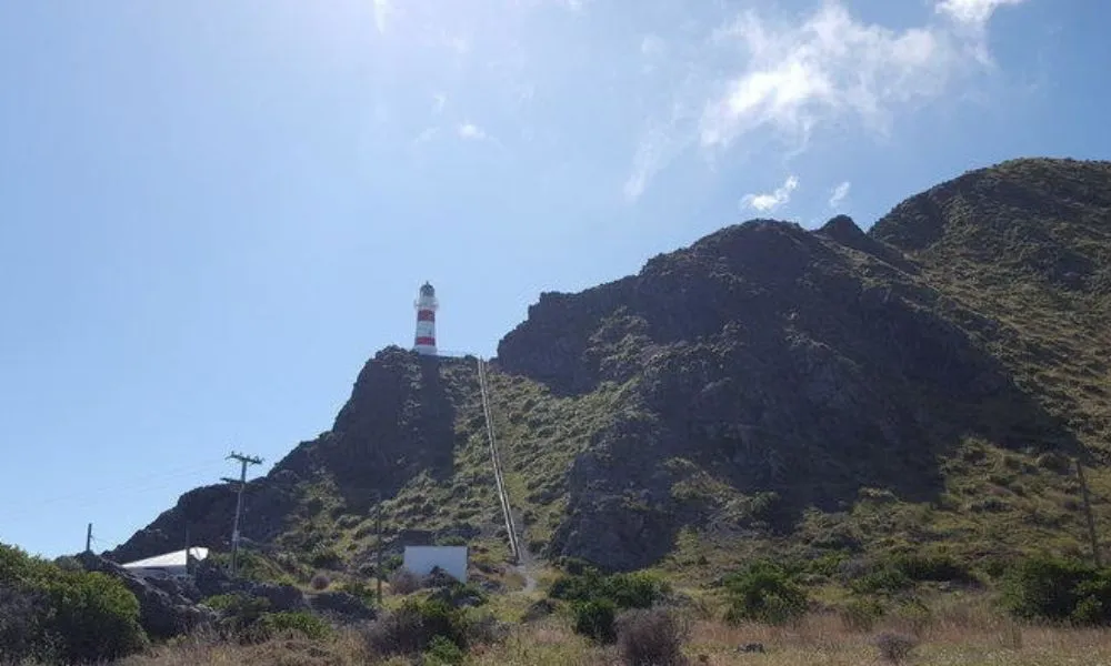 Wine and Wild Coast Tour - Book Now | Experience Oz -4