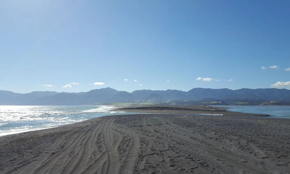 Wine and Wild Coast Tour - Book Now | Experience Oz -7