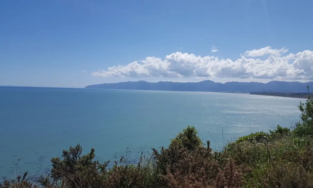 Wine and Wild Coast Tour - Book Now | Experience Oz -6