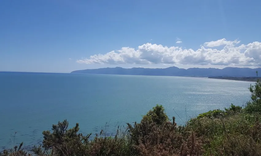 Wine and Wild Coast Tour - Book Now | Experience Oz 