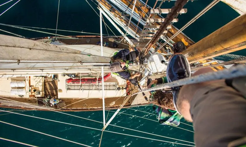 Tall Ship Day Cruise with Lunch - Book Now | Experience Oz