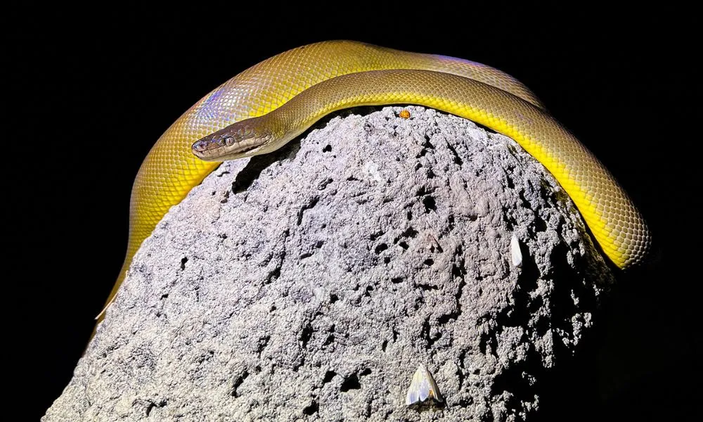 Australian Outback Overnight Tour from Darwin | Experience Oz-1