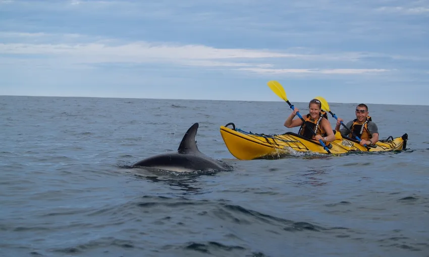 Kaikoura Kayak Rental 4 Hours - Book Now | Experience Oz