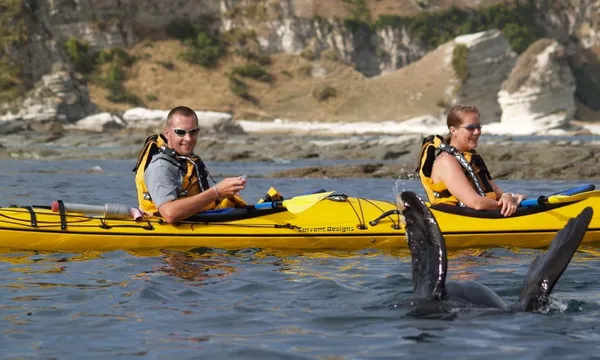 Kaikoura Sea Kayak Hire For 2 - 4 Hours