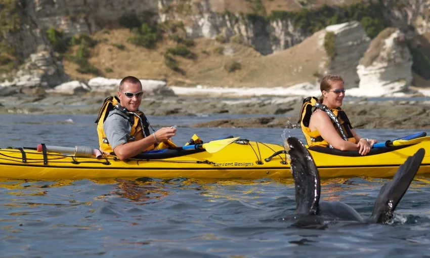 Kaikoura Kayak Rental 4 Hours - Book Now | Experience Oz