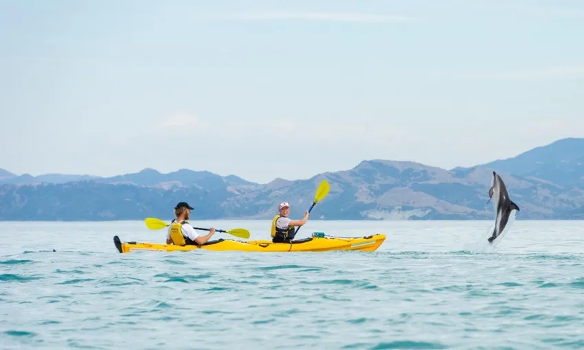 Kaikoura Kayak Rental 4 Hours - Book Now | Experience Oz
