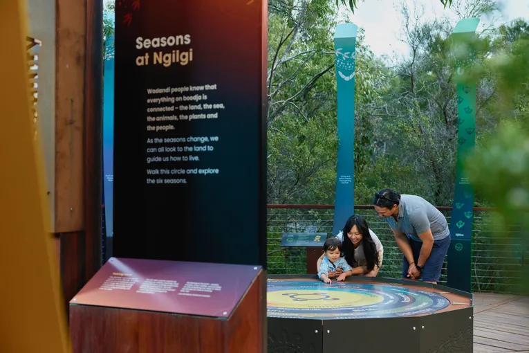 Ngilgi Cave Ancient Lands Adventure - Book Now | Experience Oz