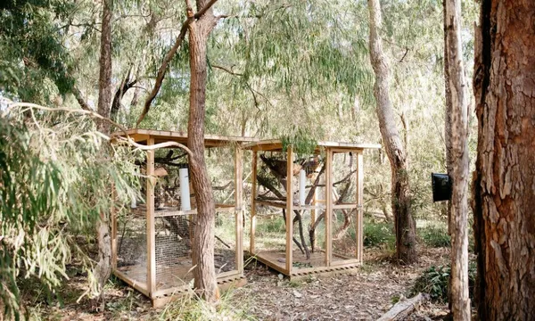 Passel Estate Nature Walk and Wine Tasting