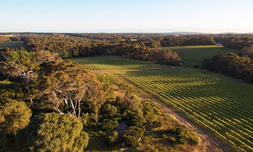 Passel Estate Nature Walk and Wine Tasting - Book Now | Experience Oz