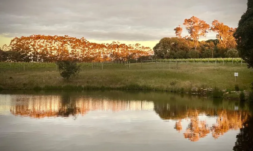  Wine Sunsets at Passel Estate - Book Now | Experience Oz