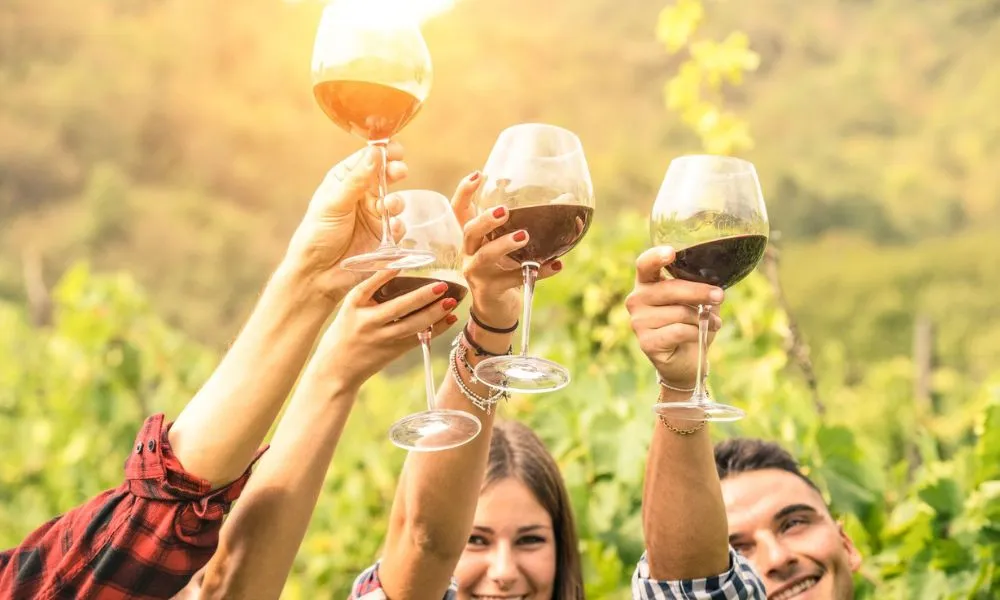 Queenstown Wine, Beer and Gin Tour - Book Now | Experience Oz-1