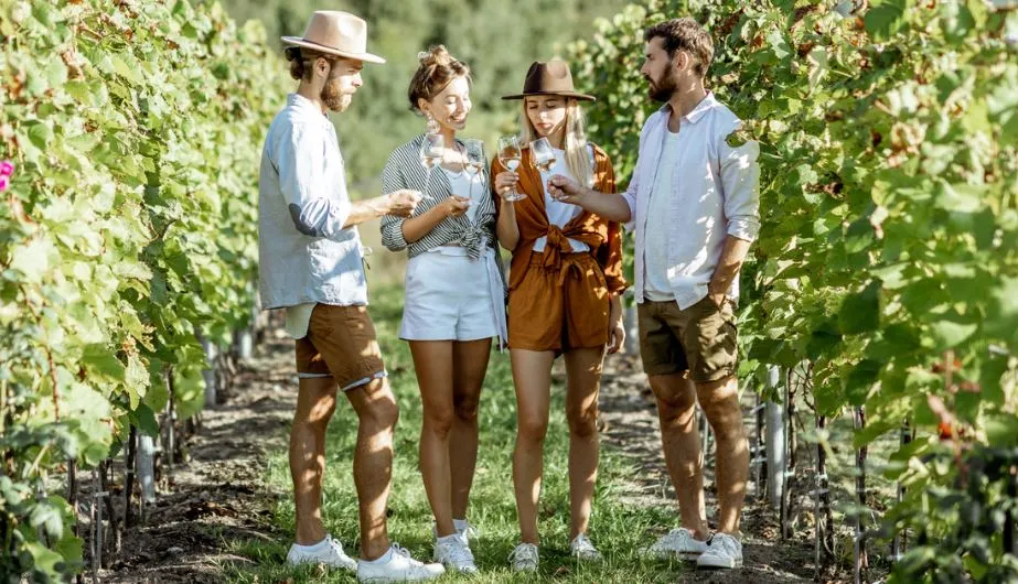 Queenstown Wine, Beer and Gin Tour - Book Now | Experience Oz-3