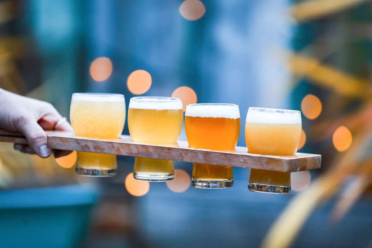 Queenstown Wine, Beer and Gin Tour - Book Now | Experience Oz-6