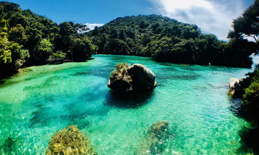 Full Day Abel Tasman Kayak and Walk - Book Now | Experience Oz