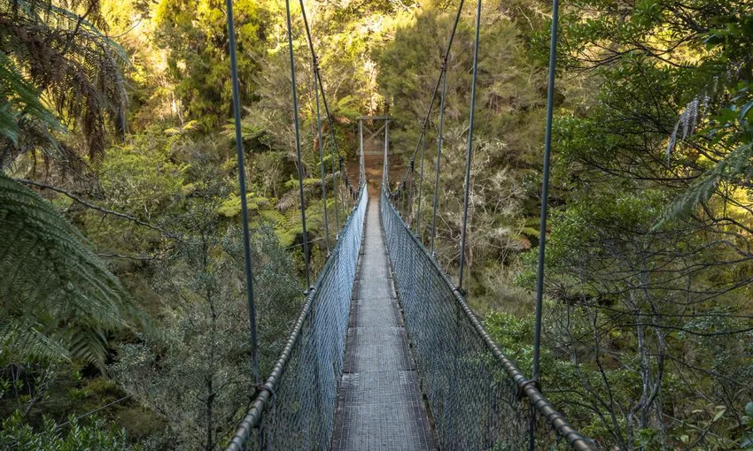 The Two Gods Full Day Kayak and Walk - Book Now | Experience Oz