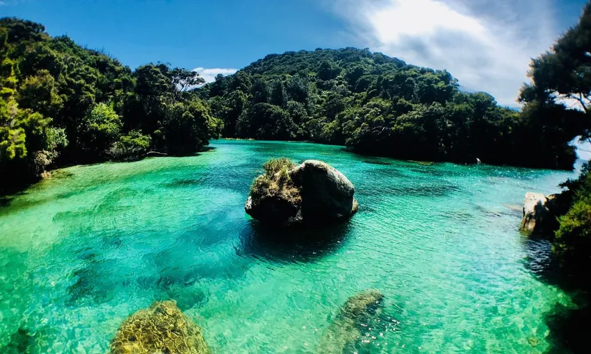Full Day Remote Marine Reserve Kayak - Book Now | Experience Oz