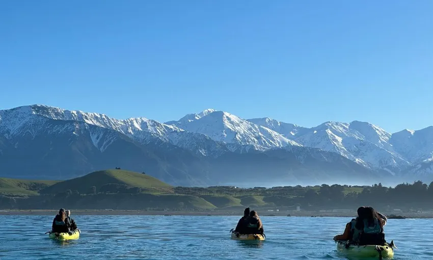 Seal Kayak Kaikoura Pedal Tour - Book Now | Experience Oz