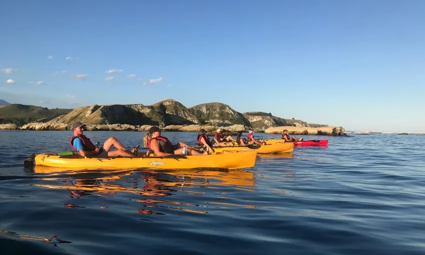 Seal Kayak Kaikoura Pedal Tour - Book Now | Experience Oz