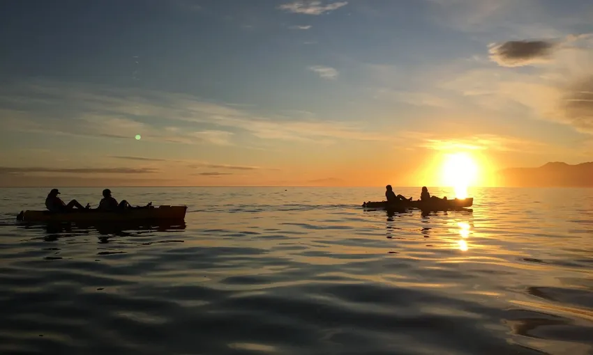 Sunset Kayak Kaikoura Pedal Tour - Book Now | Experience Oz