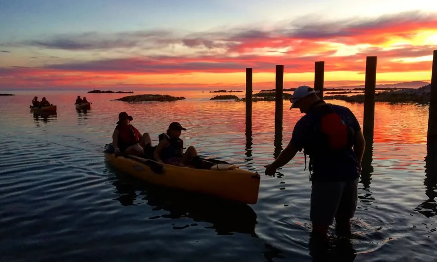 Sunset Kayak Kaikoura Pedal Tour - Book Now | Experience Oz