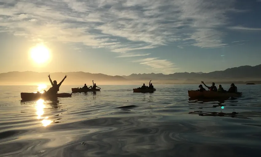 Kaikoura Kayak Tours for Families - Book Now | Experience Oz