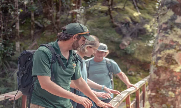 Routeburn Full Day Guided Walking Tour from Queenstown