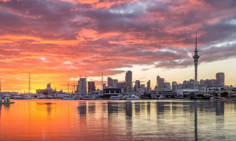 Small Group Auckland Sightseeing Tour - Book Now | Experience Oz-1