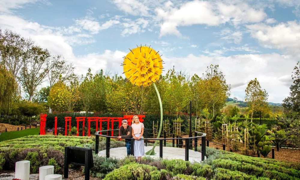 Matakana Wine Tour from Auckland - Book Now | Experience Oz-2