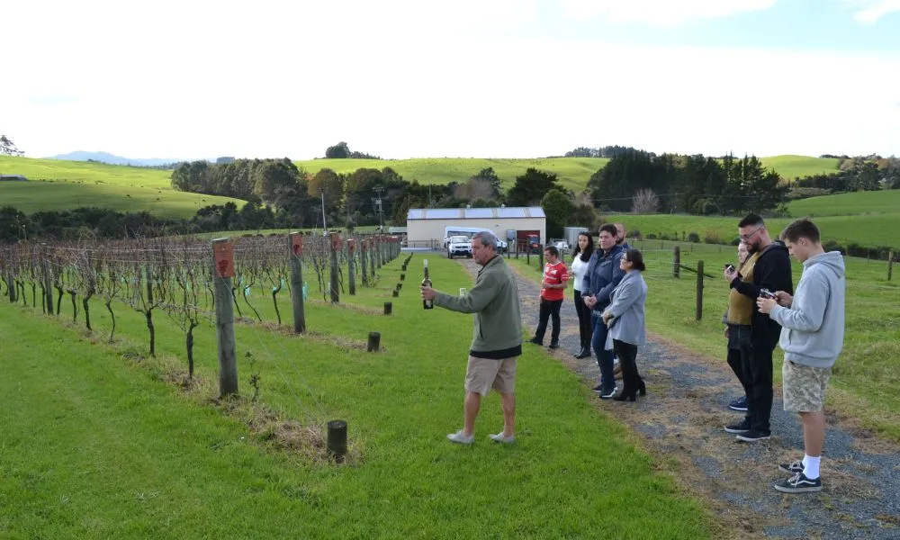 Matakana Wine Tour from Auckland - Book Now | Experience Oz-6