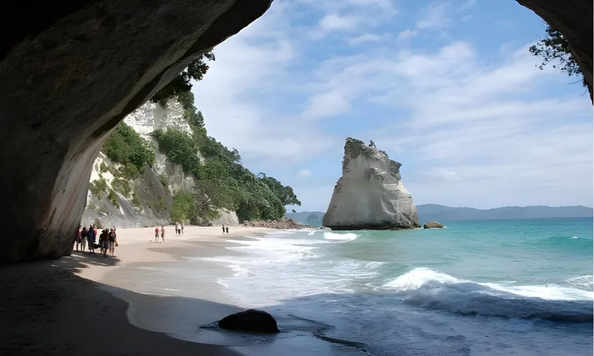 Coromandel Full Day Tour - Book Now | Experience Oz