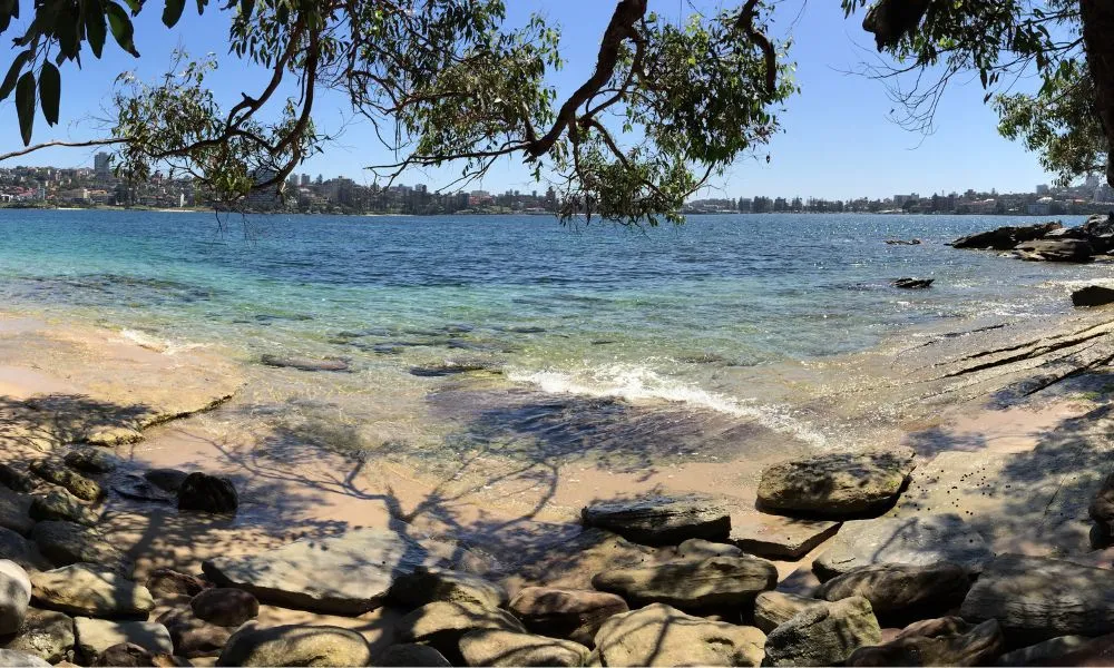 Manly Single Kayak Hire - 4 Hours | Book Now | Experience Oz-6