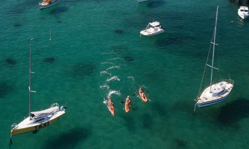  Manly Double Kayak Hire - For 2 | Book Now | Experience Oz-4