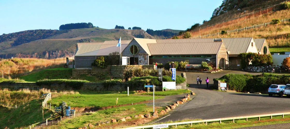 90 Minutes Unique Albatross Tour | Experience Oz		-5