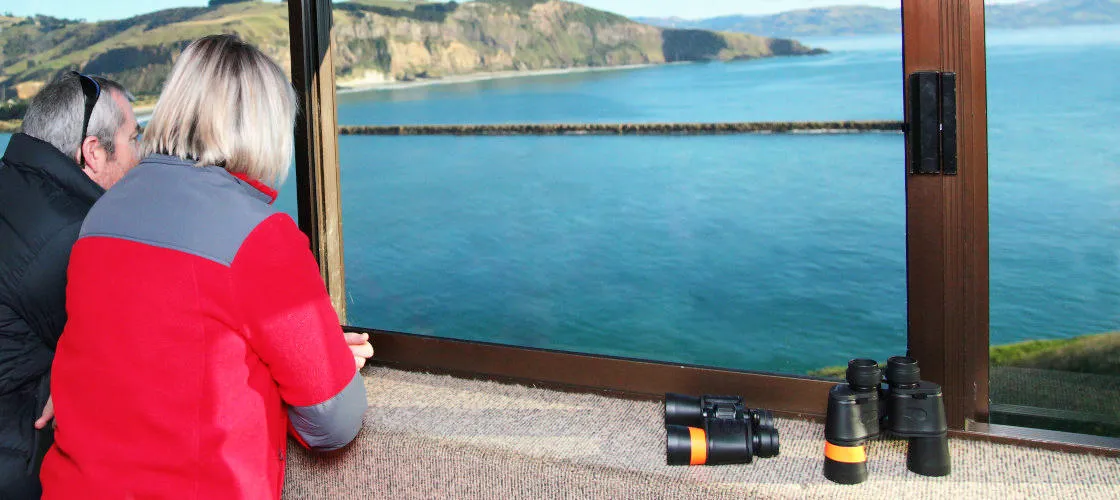 90 Minutes Unique Albatross Tour | Experience Oz		-4