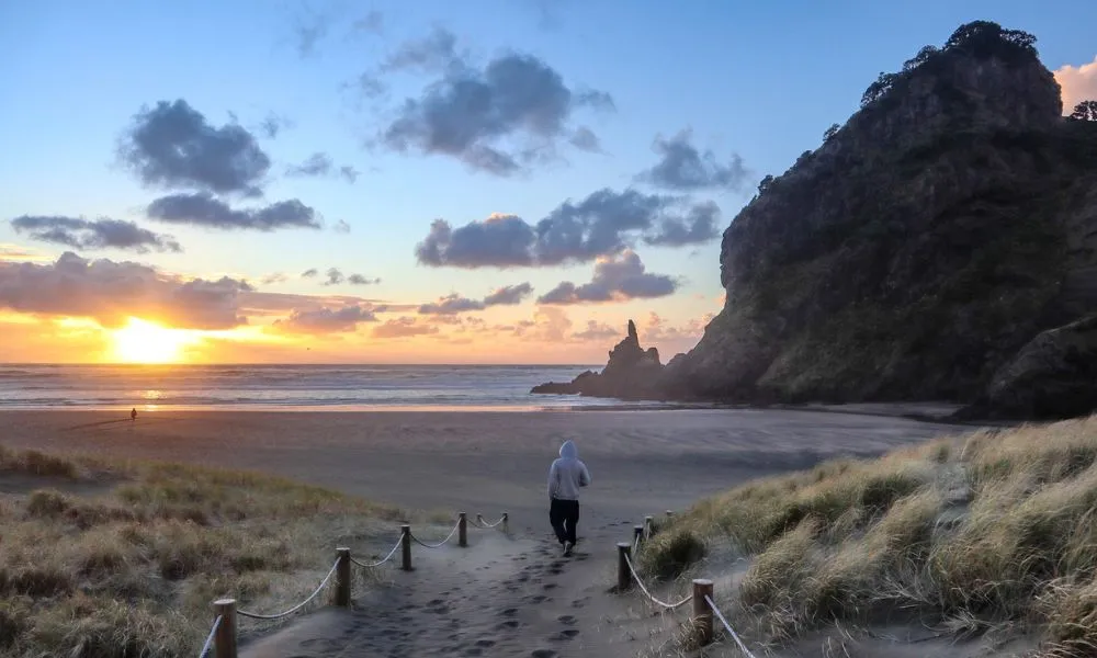 West Coast Discovery Half Day Tour - Book Now | Experience Oz-4