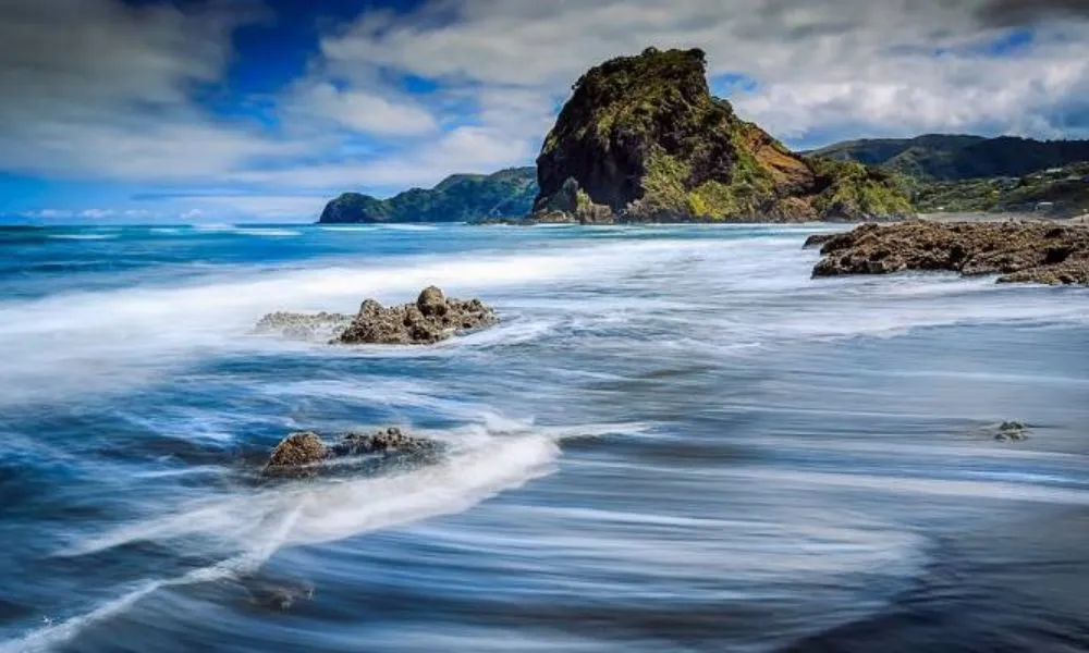 West Coast Discovery Half Day Tour - Book Now | Experience Oz-5