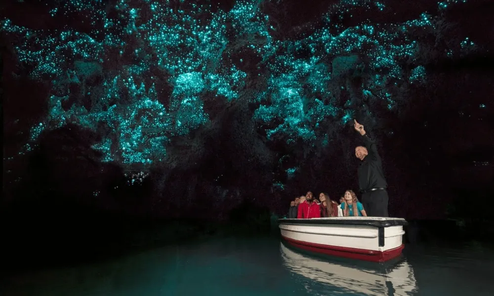 Small Group Waitomo Day Tour from Auckland - Book Now | Experience Oz-5