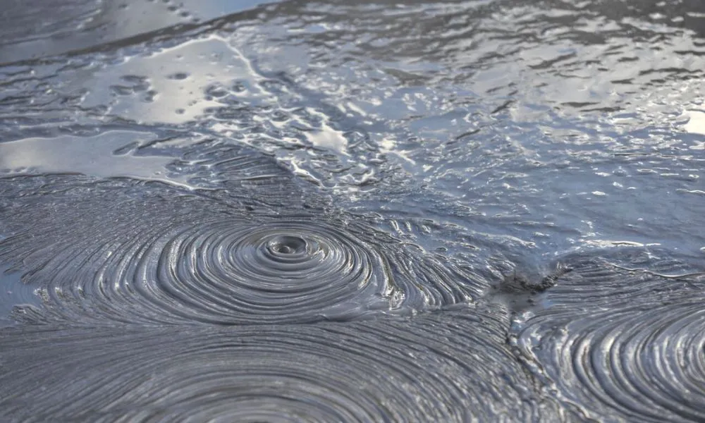 Small Group Rotorua Day Tour from Auckland - Book Now | Experience Oz-3