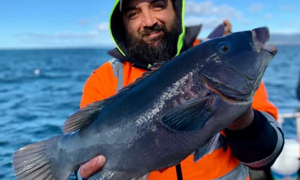 Deep Sea Fishing Charter in Wollongong - 6 Hours
