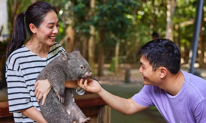 Hartley's Crocodile Adventures Cairns Croc Feed & Entry | Experience Oz