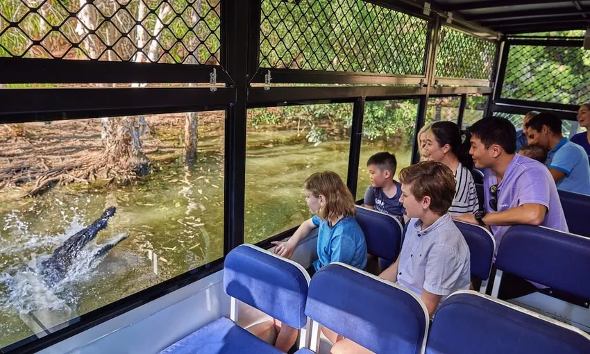 Hartley's Crocodile Adventures Cairns Croc Feed & Entry | Experience Oz