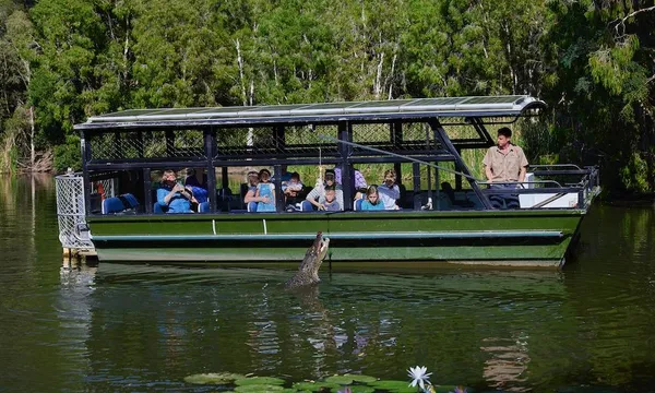 Hartley's Crocodile Adventures Breakfast with Koalas